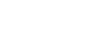 AYS Developers