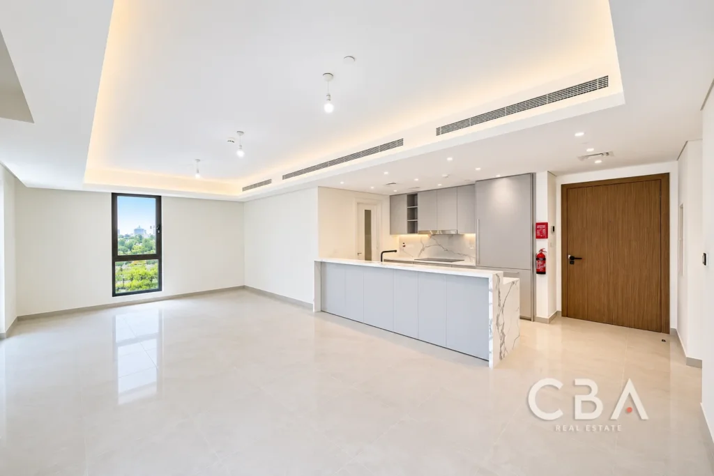 Modern Minimalist Living Area and Kitchen